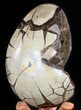 Huge, Septarian Dragon Egg Geode - Crystal Filled #50825-2